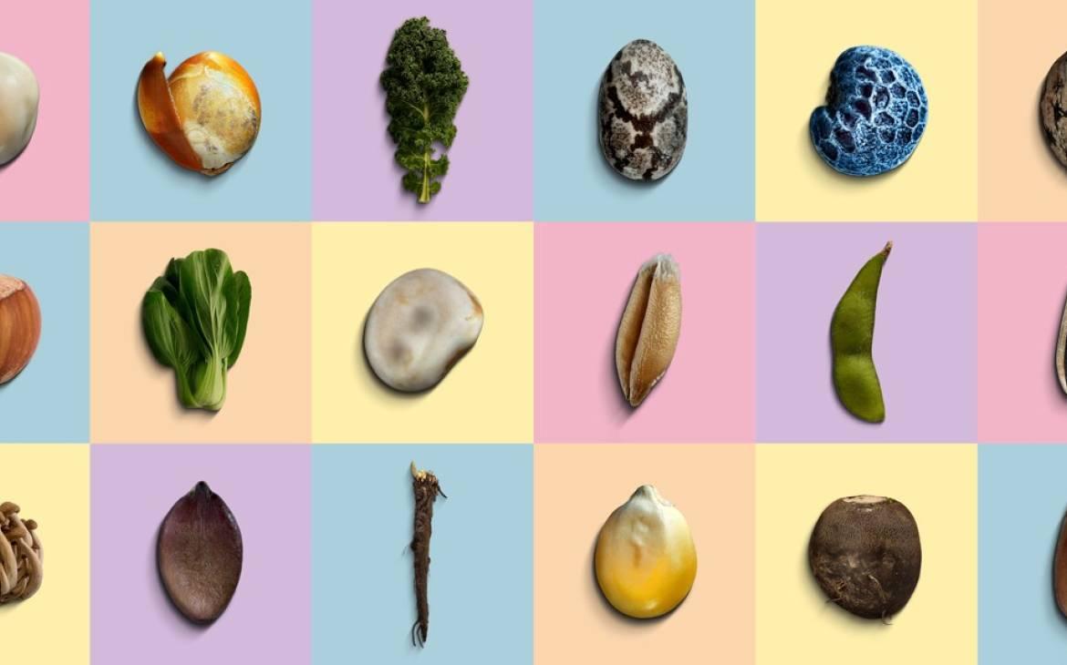 18 Future Foods auf farbigem Hintergrund