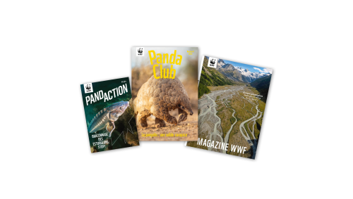 WWF-Magazine für die ganze Familie