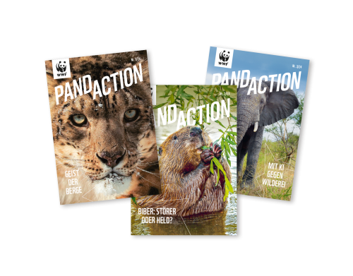 Drei Ausgaben des Pandaction Magazins